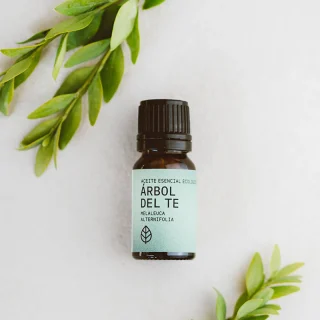 ACEITE ESENCIAL DE ÁRBOL DEL TÉ