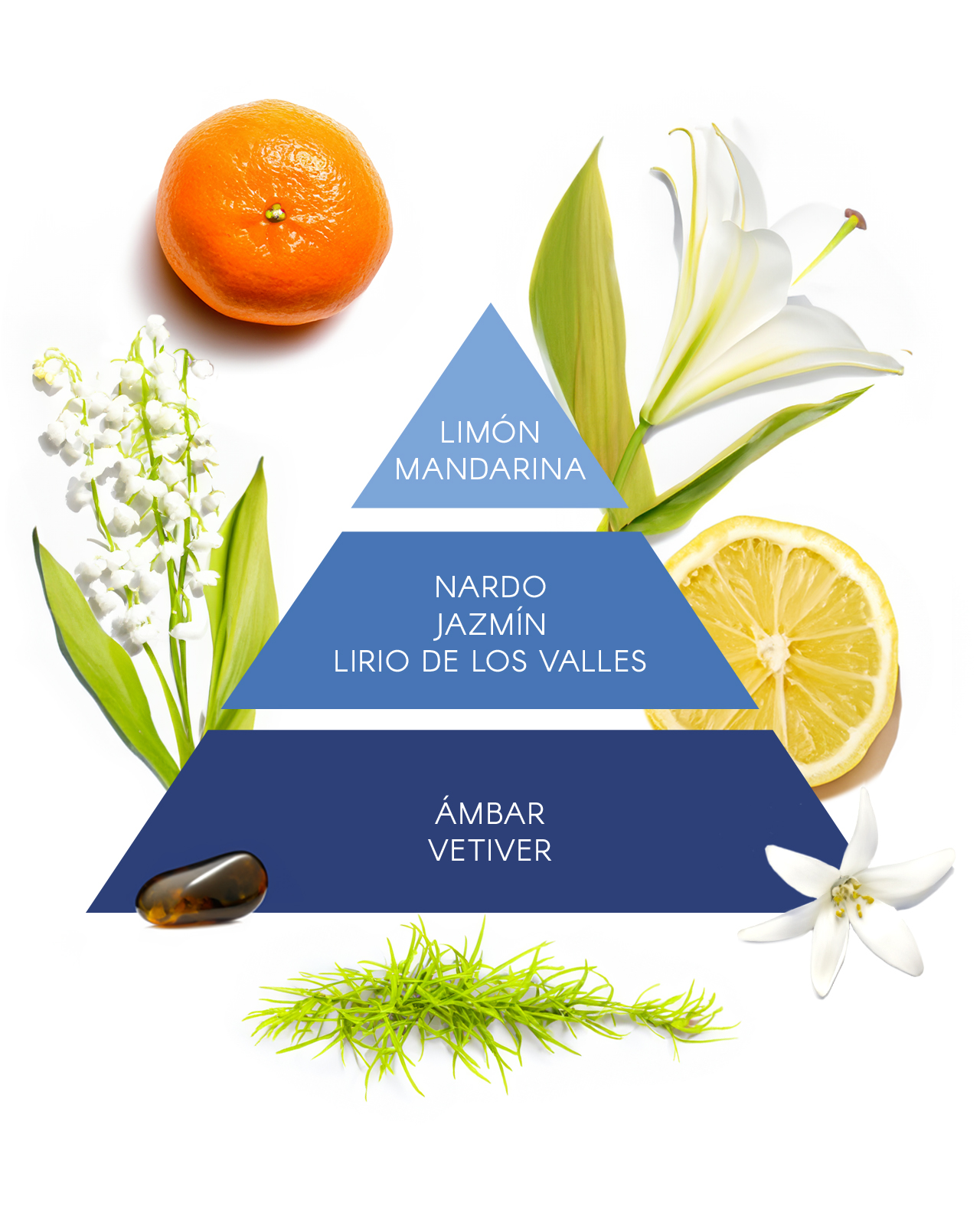 Set EDT 100ML + Flor 50ML Don Algodón Mujer - Imagen 2