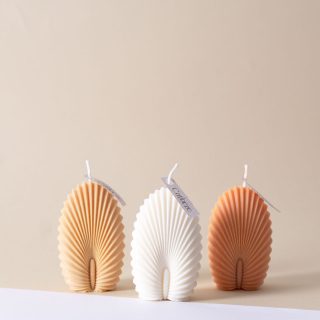 Concha | Vela Decorativa · 80g