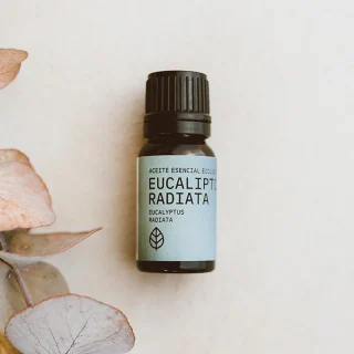ACEITE ESENCIAL DE EUCALIPTO RADIATA