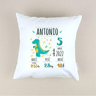 Cojín Personalizado Dino Datos Nacimiento Mi Pipo
