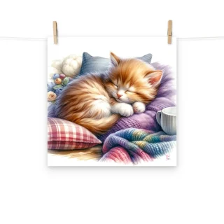 Láminas decoración gatito dormido