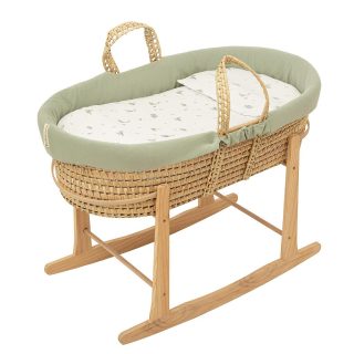 Moisés Capazo bebé T Rex Bimbi